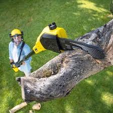 Best Utility Line Clearance  in Bohners Lake, WI